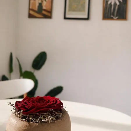 Olive Tree Appartamento *